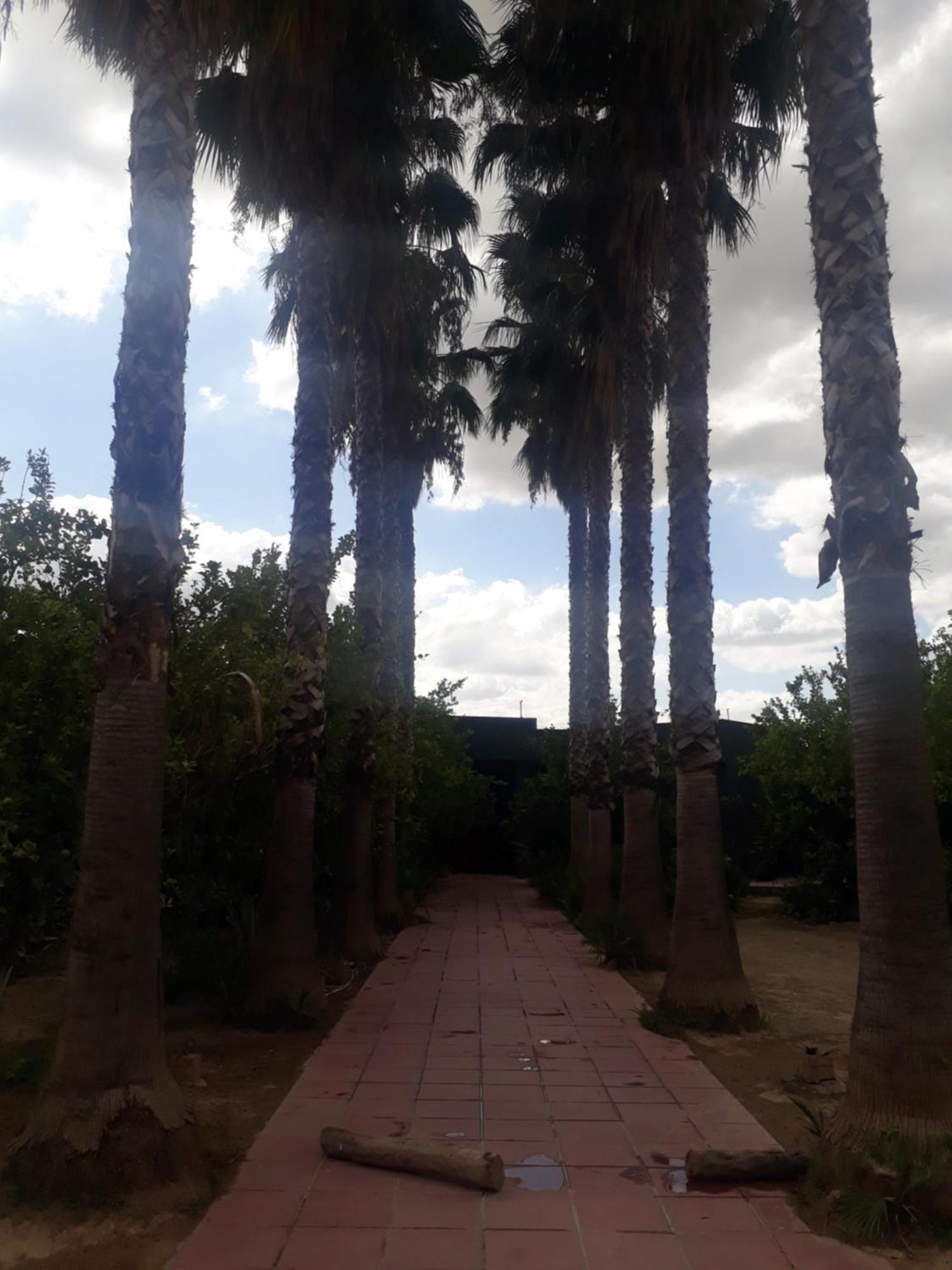 Dar Khedija Casa de hóspedes El Kheriba Exterior foto